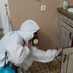 Дезинфекция от муравьев в квартире в Верхоянске
