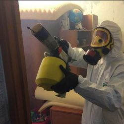 Уничтожение клопов в квартире. Верхоянск
